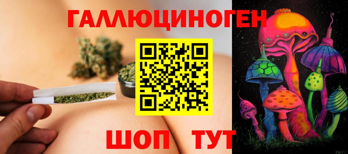 Галлюциногенные грибы MAGIC MUSHROOMS  Вход с VPN  Дальнереченск  дарнет шоп  Галлюциногенные грибы Magic Shrooms 